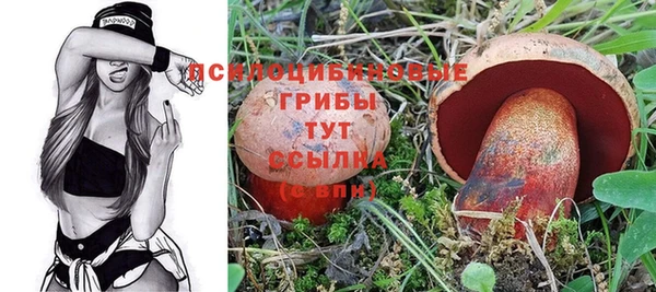 мдпв Баксан