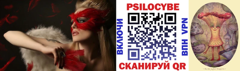 Псилоцибиновые грибы Cubensis Краснообск